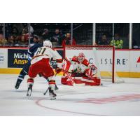 Grand Rapids Griffins' 	Jakub Rychlovský and Michal Postava in action