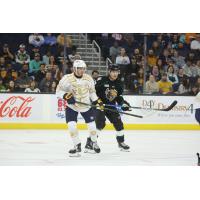 Atlanta Gladiators' Anthony Firriolo and Utah Grizzlies' Neil Shea on game night