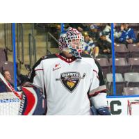 Vancouver Giants' Kelton Pyne