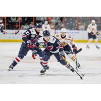 South Carolina Stingrays defenseman John Fusco