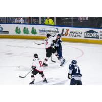 Worcester Railers battle the Adirondack Thunder