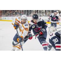 Greenville Swamp Rabbits forward Brent Pedersen (left) vs. the South Carolina Stingrays