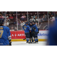 Springfield Thunderbirds celebrate a goal