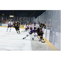 Youngstown Phantoms defenseman Jayden Veney vs. the Green Bay Gamblers