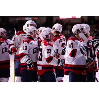 South Carolina Stingrays exchange congratulations after a win