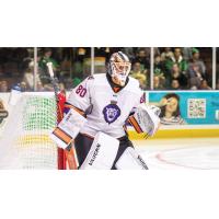 Reading Royals goaltender Keith Petruzzelli