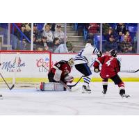 Vancouver Giants goaltender Burke Hood
