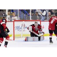Vancouver Giants goaltender Burke Hood