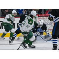 Wenatchee Wild goaltender Tobias Tvrznik