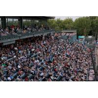 Winnipeg Goldeyes fans pack Blue Cross Park