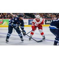 Grand Rapids Griffins right wing Dominik Shine (right) faces off with the Manitoba Moose