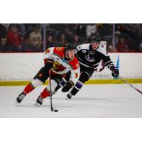 New Mexico Ice Wolves forward Jake Kasay