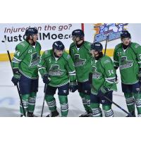 Florida Everblades gather following a goal