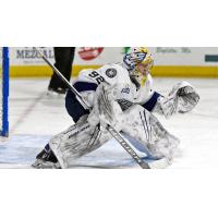 Goaltender Colten Ellis with the Worcester Railers