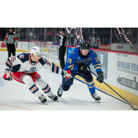Springfield Thunderbirds forward Otto Stenberg (right) vs. the Hartford Wolf Pack