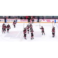 Belleville Senators salute their fans