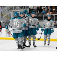 San Jose Barracuda exchange congratulations after a goal