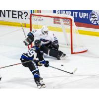 Kelowna Rockets goaltender Josh Banini vs. the Victoria Royals