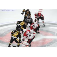 Wheeling Nailers line up against the Cincinnati Cyclones