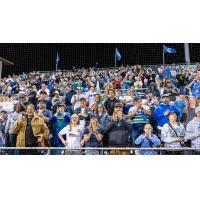 Everett AquaSox fans at Funko Field