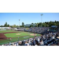 Everett AquaSox fans at Funko Field