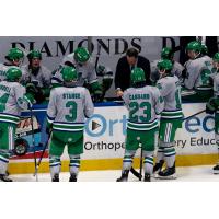 Florida Everblades discuss strategy