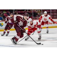 Peterborough Petes defenceman Genc Ula vs. the Soo Greyhounds
