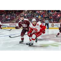 Peterborough Petes defenceman Carson Cameron (left) vs. the Soo Greyhounds