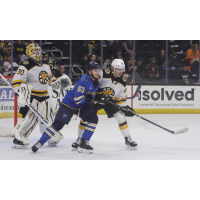 Providence Bruins' Michael DiPietro and Frédéric Brunet and Springfield Thunderbirds' Matthew Peca on game night