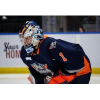Flint Firebirds' Mason Vaccari