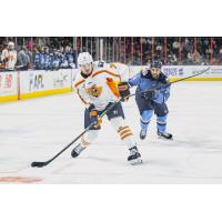 Greenville Swamp Rabbits' Tristan De Jong and Jacksonville Icemen's Taos Jordan in action