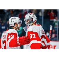 Grand Rapids Griffins' Carter Mazur and Sebastian Cossa