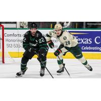 Texas Stars' Kyle Capobianco versus Iowa Wild's Liam Öhgren