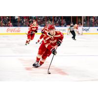 Rapid City Rush's Carter Wilkie on game night