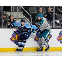 Milwaukee Admirals' Ryan Ufko and San Jose Barracuda's Yegor Afanasyev in action