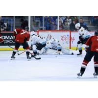 Vancouver Giants right wing Ty Halaburda tries to find a gap