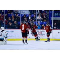 Vancouver Giants exchange congratulations after a goal against the Portland Winterhawks