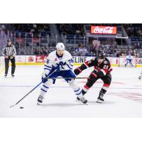 Belleville Senators centre Garrett Pilon (right) vs. the Toronto Marlies