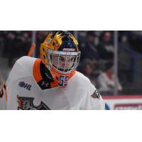 Flint Firebirds goaltender Mason Courville
