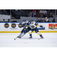 Worcester Railers forward Anthony Callin (left) vs. the Norfolk Admirals