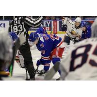 Kitchener Rangers left wing Matheas Stark in the faceoff circle