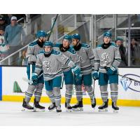 San Jose Barracuda on game night