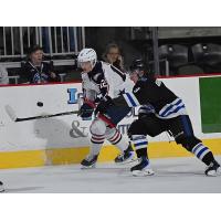 Tri-City Americans' Connor Dale battles Wenatchee Wild's Aiden Grossklaus