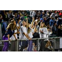 North Carolina FC fans enjoy the game