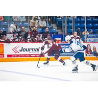 Peterborough Petes left wing Adam Novotný vs. the Sudbury Wolves