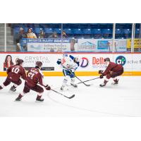 Peterborough Petes surround the Sudbury Wolves