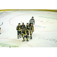 Wheeling Nailers gather after a goal