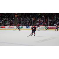Saginaw Spirit left wing Dimian Zhilkin