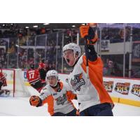 Flint Firebirds react after a goal against the Owen Sound Attack