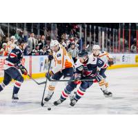 South Carolina Stingrays defensemen Romain Rodzinski (far left) and Reilly Webb